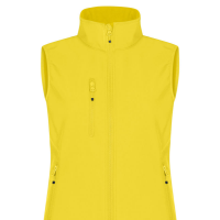 Colore GIALLO LIMONE 10